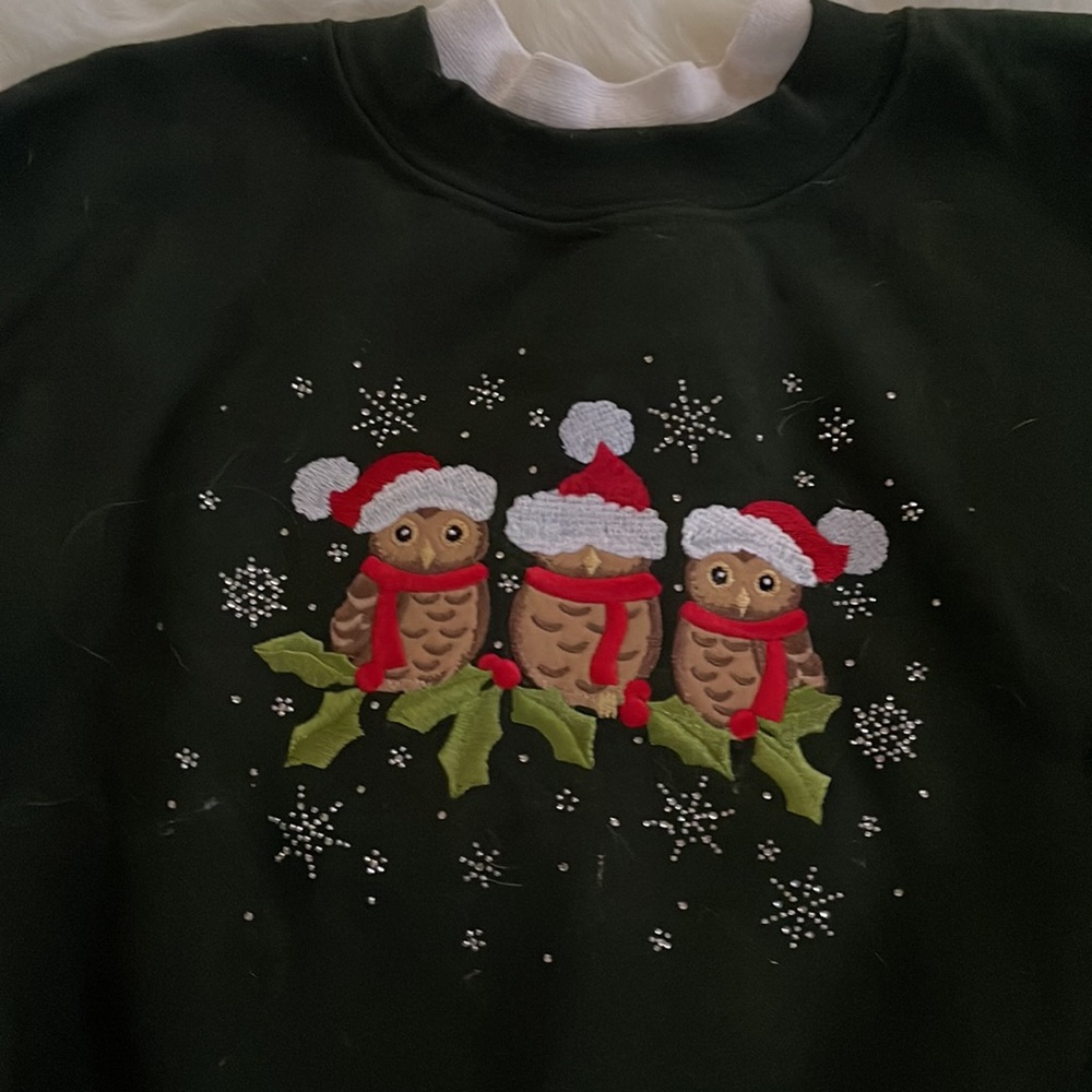 Christmas Embroidered Green Owl Crewneck Sweatshirt